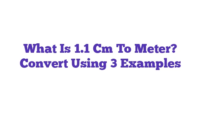 What Is 1.1 Cm To Meter? Convert Using 3 Examples