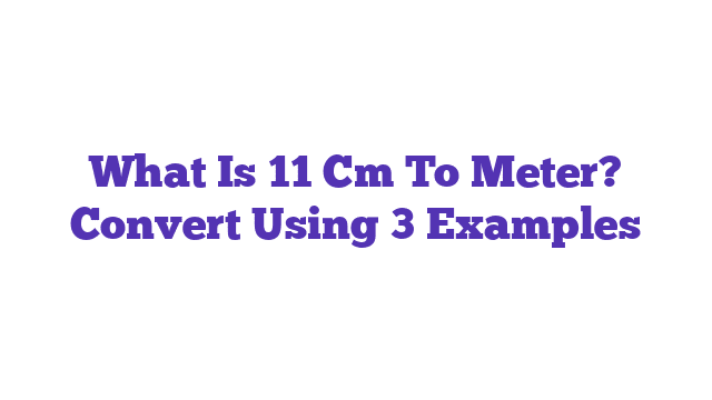 What Is 11 Cm To Meter? Convert Using 3 Examples